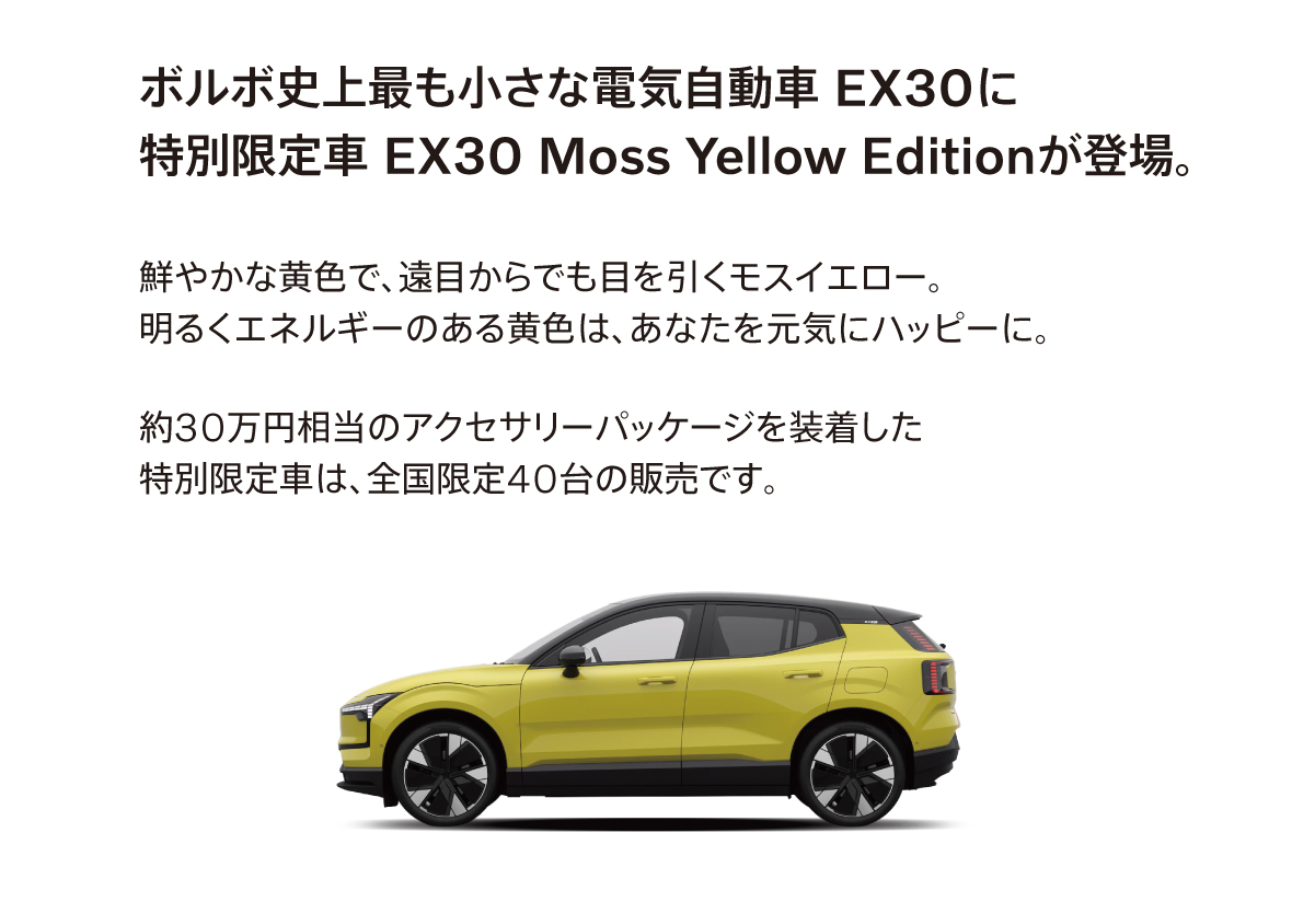 今だけの購入サポート30万円