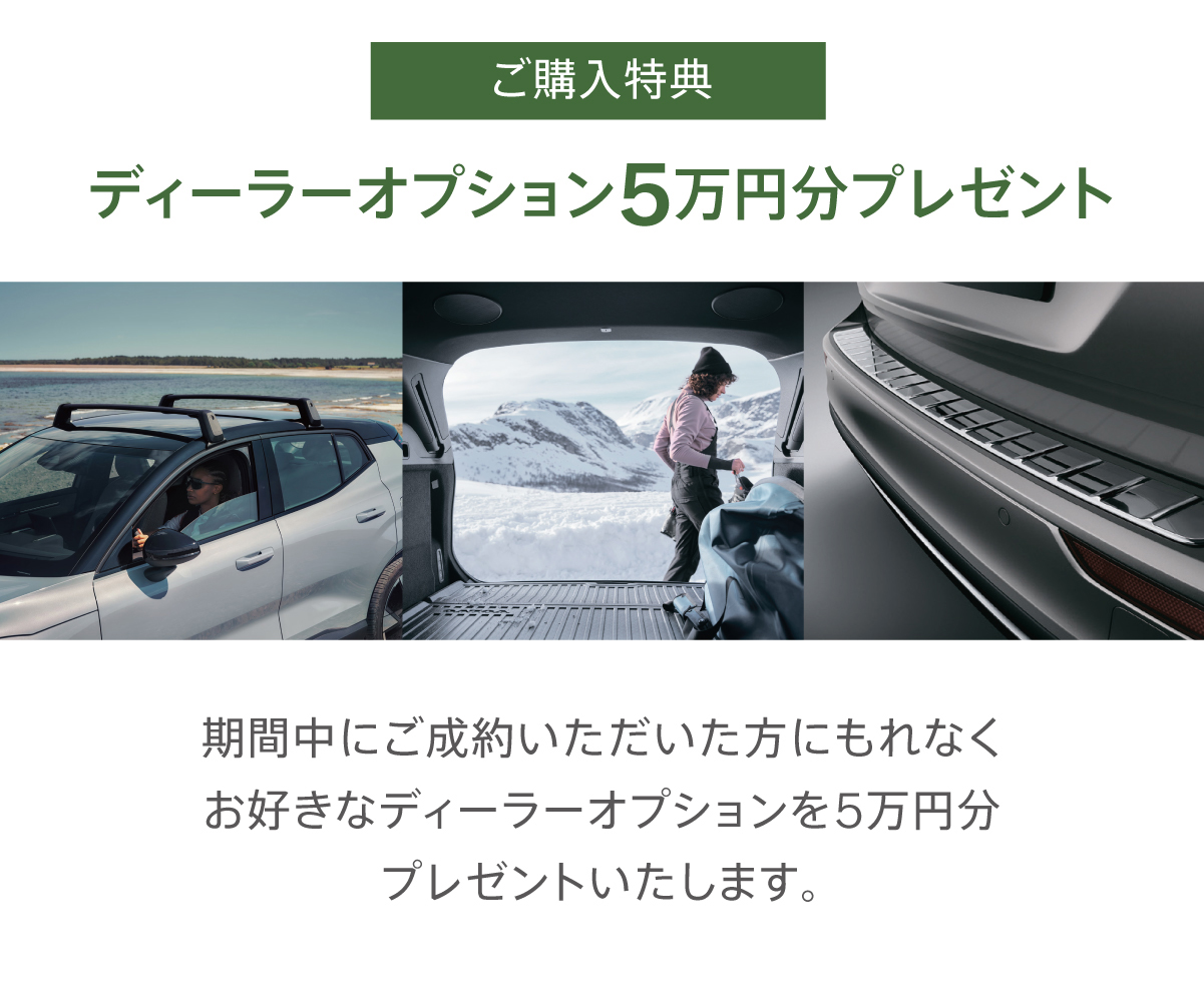 ご購入特典 ディーラーオプション5万円分プレゼント