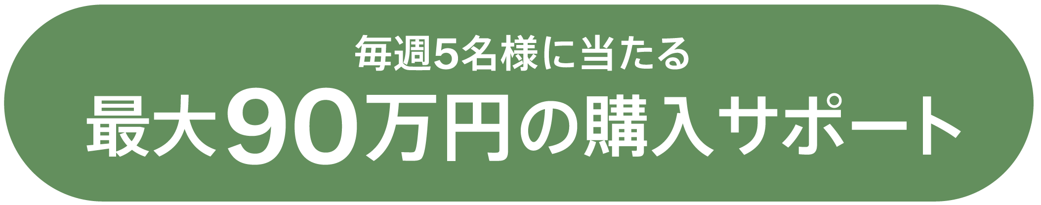 購入資金 最大90万円プレゼント
お申し込みフォーム