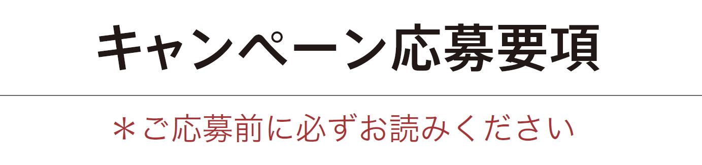 キャンペーン応募要項