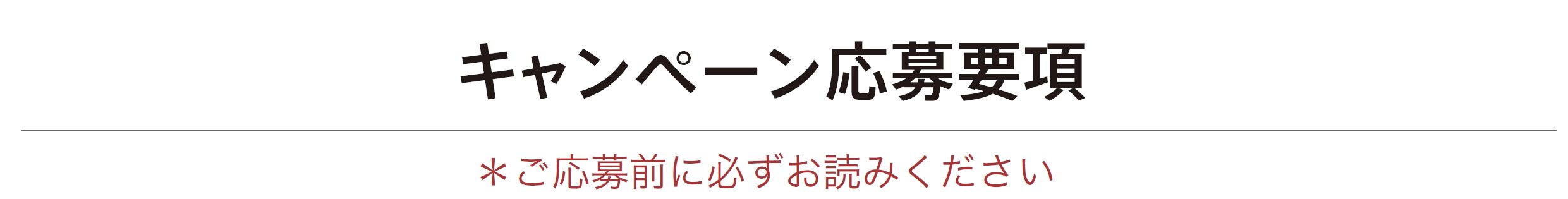 キャンペーン応募要項